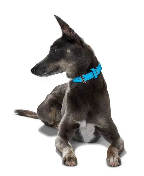 Hunter Softie hundehalsbånd 50 cm brun - 36-44 cm indstilling